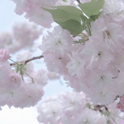 Furry插画细节提升干货福瑞群